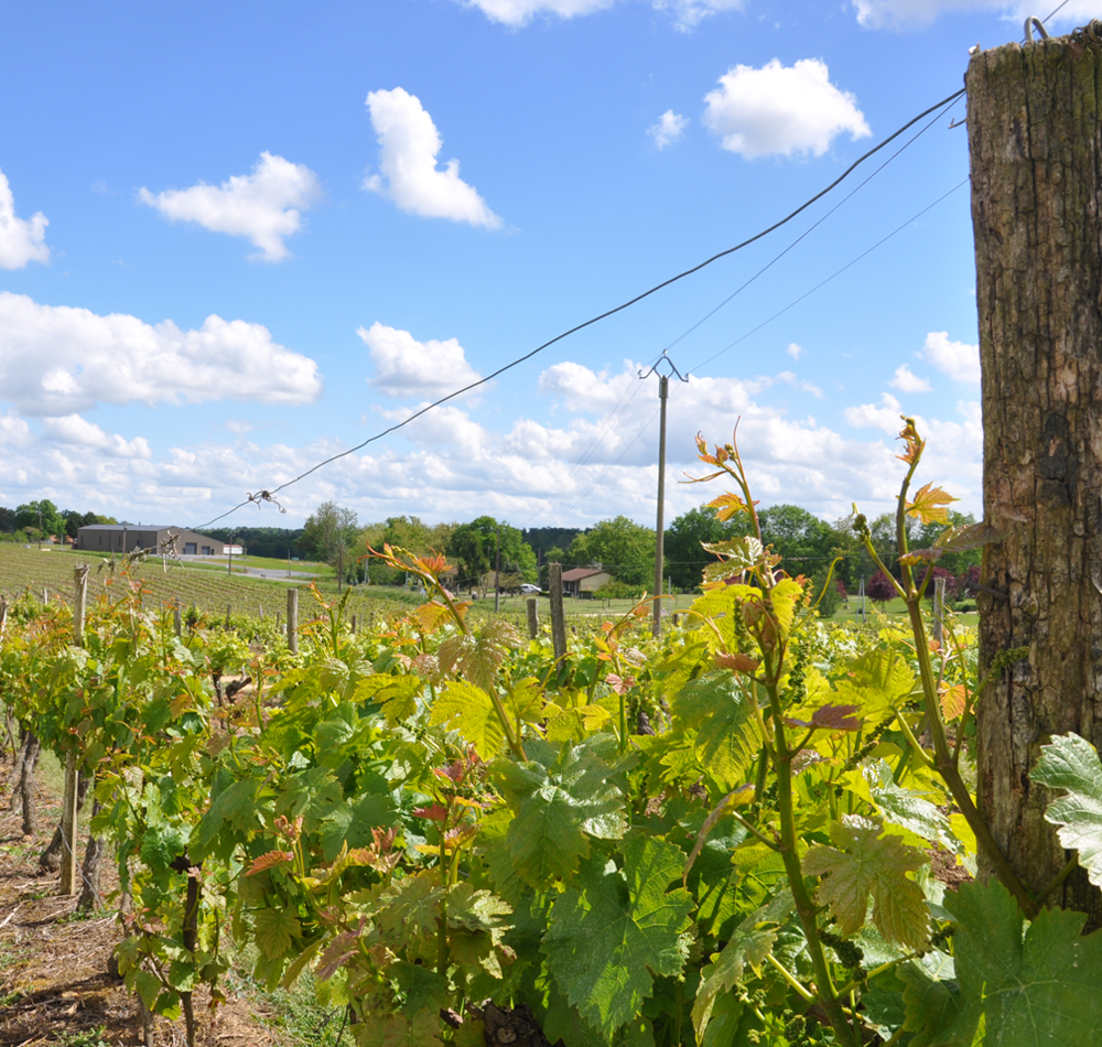 Contact du domaine de Ouardère